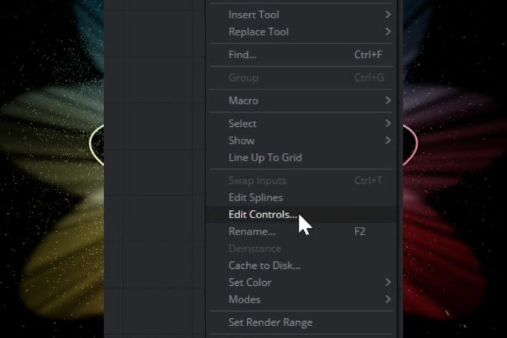Edit Controls in Fusion