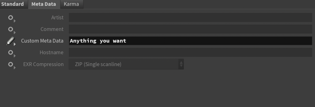Custom Metadata in Houdini