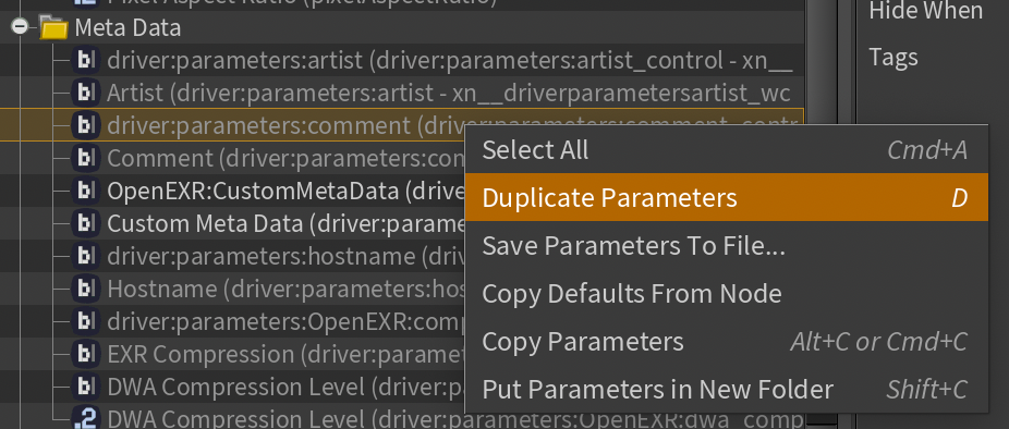 Duplicating Parameters by right clicking